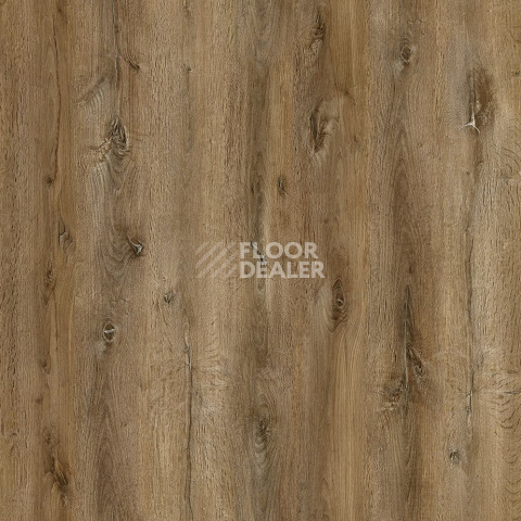 Ecoclick Rich замковый 4.2мм NOX-1959 Дуб Марракеш фото 3 | FLOORDEALER